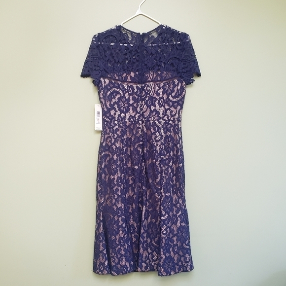 Eliza J Lace Midi Sheath Dress Navy Size 2 - Picture 7 of 12